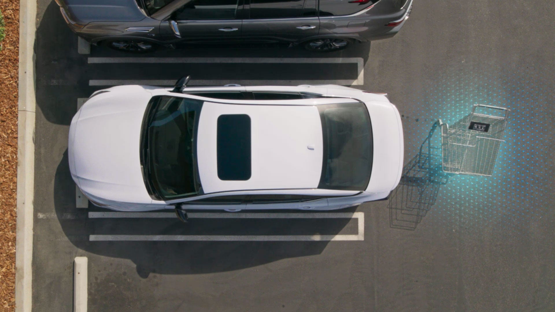 2026 Nissan Altima | Nissan of Fremont in Fremont, CA